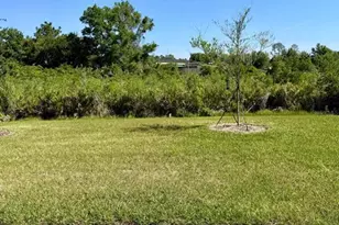 4501 Burrowing Owl Loop, Saint Cloud, FL 34772 - Photo 11