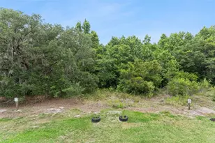 914 Spring Palms Loop, Orlando, FL 32828 - Photo 27