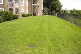 7109 Yacht Basin Ave, Orlando, FL 32835 - Photo 7
