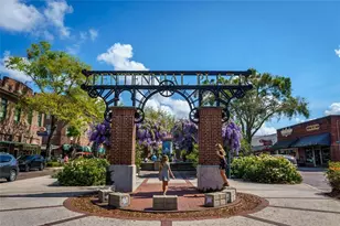 461 Geranium Park Wy, Winter Garden, FL 34787 - Photo 33