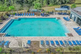 30112 Armenia Rd, Leesburg, FL 34748 - Photo 3