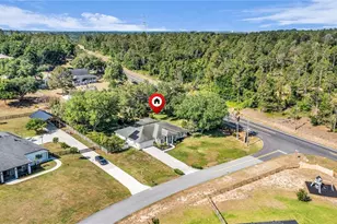 12540 Cynthia Ln, Clermont, FL 34715 - Photo 43