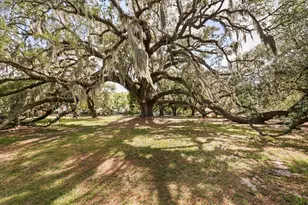 623 E Jackson St, Orlando, FL 32801 - Photo 31