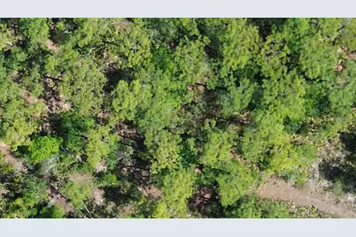 S Apopka Vineland Road, Orlando, FL 32821 - Photo 5