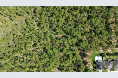 S Apopka Vineland Road, Orlando, FL 32821 - Photo 7