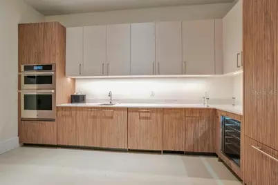 275 1st Avenue S #3808, Saint Petersburg, FL 33701 - Photo 89