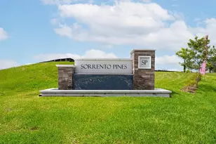 33470 Always Dreaming Ct, Sorrento, FL 32776 - Photo 63