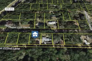 0 NE 222 Null Ln, Fort Mc Coy, FL 32134 - Photo 1