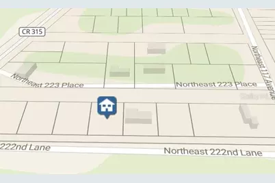 0 NE 222 Null Ln, Fort Mc Coy, FL 32134 - Photo 3