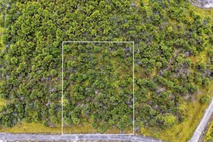 2806 Flameflower Terrace SW, Palm Bay, FL 32908 - Photo 1