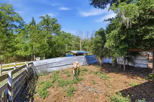 1898 Blackwelder Rd, De Leon Springs, FL 32130 - Photo 29