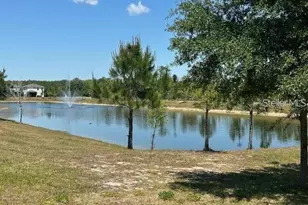 17249 Goldcrest Loop, Clermont, FL 34714 - Photo 21