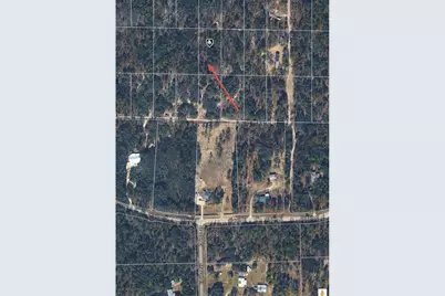 Se 64th Place, Morriston, FL 32668 - Photo 3