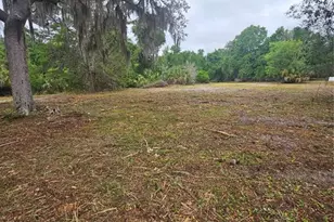 0 Culver Way, Geneva, FL 32732 - Photo 1