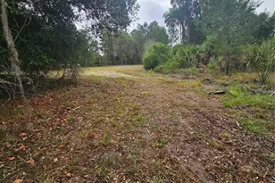 0 Culver Way, Geneva, FL 32732 - Photo 9