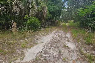 00 Culver Way, Geneva, FL 32732 - Photo 3