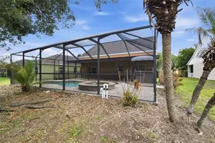 6409 Bridgecrest Dr, Lithia, FL 33547 - Photo 61