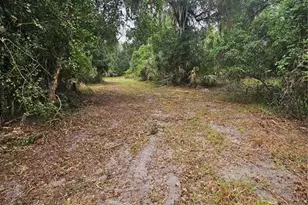 000 Culver Way, Geneva, FL 32732 - Photo 7