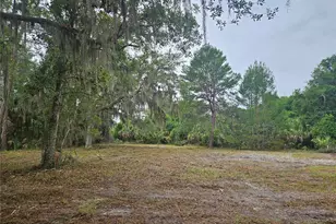 0000 Culver Way, Geneva, FL 32732 - Photo 5
