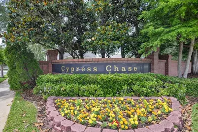 9506 Pecky Cypress Way, Orlando, FL 32836 - Photo 41