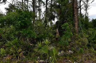 Geloso Ave, North Port, FL 34288 - Photo 1
