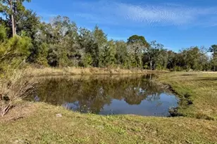 8031 Timberwood Ln, Orlando, FL 32825 - Photo 15