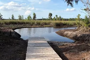 7956 Lake Nellie Rd, Clermont, FL 34714 - Photo 57