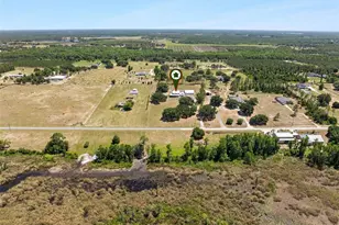 7956 Lake Nellie Rd, Clermont, FL 34714 - Photo 59