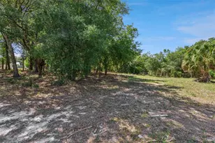 3932 White Heron Dr, Orlando, FL 32808 - Photo 13