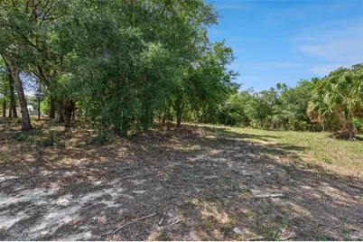 3932 White Heron Drive, Orlando, FL 32808 - Photo 11