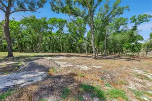 3932 White Heron Dr, Orlando, FL 32808 - Photo 13