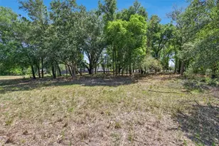 3932 White Heron Dr, Orlando, FL 32808 - Photo 17
