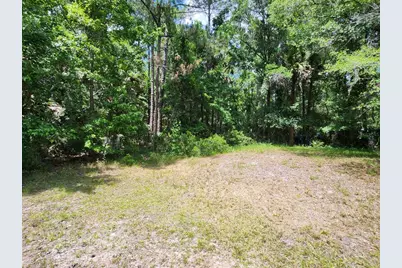 1450 Almond Street, Bunnell, FL 32110 - Photo 55