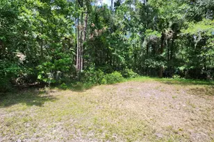 1450 Almond St, Bunnell, FL 32110 - Photo 55