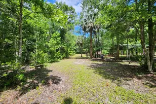 1450 Almond St, Bunnell, FL 32110 - Photo 51