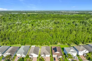 10066 Lovegrass Ln, Orlando, FL 32832 - Photo 5