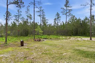 2626 Will Elledge Rd, Glen St Mary, FL 32040 - Photo 45