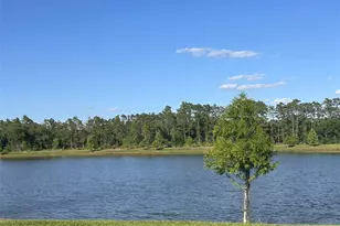 4891 Shady Pnes Dr, Saint Cloud, FL 34772 - Photo 63
