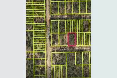 5th Street #1, Interlachen, FL 32148 - Photo 1