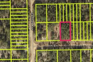 5th St, Interlachen, FL 32148 - Photo 1