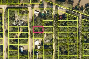 Carolyn Ave, Interlachen, FL 32148 - Photo 1