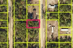 N O'Farrell Ave, Interlachen, FL 32148 - Photo 1
