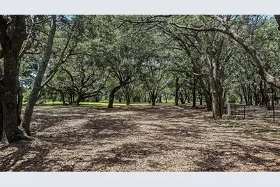 379 Cornerstone Drive, Groveland, FL 34736 - Photo 39