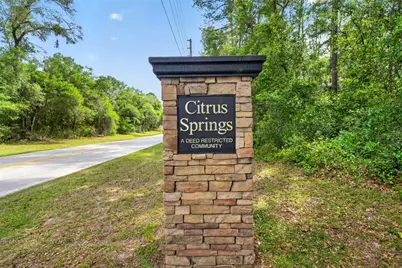 123 W Camino Lane, Citrus Springs, FL 34434 - Photo 53