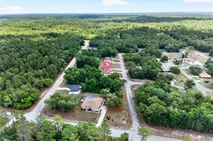 123 W Camino Ln, Citrus Springs, FL 34434 - Photo 51