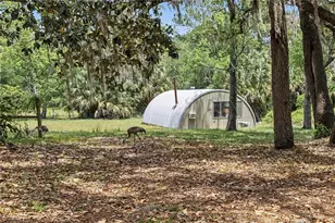 18007 SE 90th St, Ocklawaha, FL 32179 - Photo 31