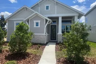 28741 Jujube Rd, Wesley Chapel, FL 33543 - Photo 1