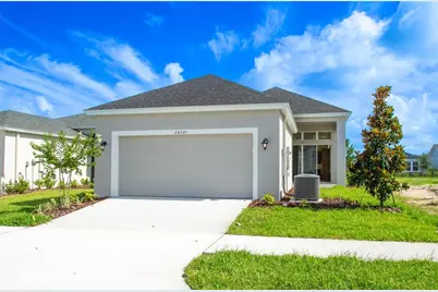 28741 Jujube Road, Wesley Chapel, FL 33543 - Photo 3