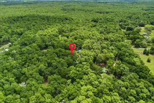 9986 S Forestline Ave, Inverness, FL 34452 - Photo 29