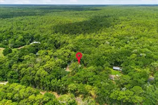 9986 S Forestline Ave, Inverness, FL 34452 - Photo 29
